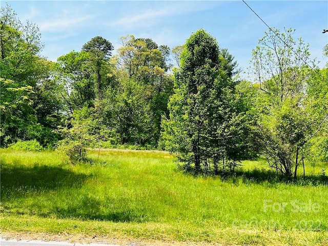 view of local wilderness