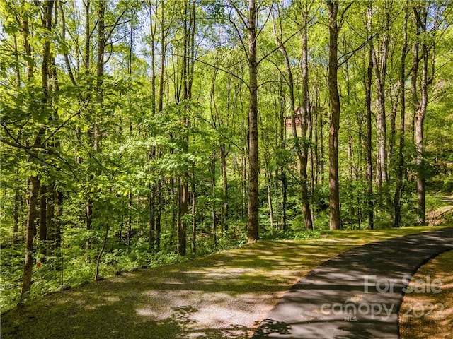 Listing photo 2 for LOT1 Nottingham Rd Unit 1, Maggie Valley NC 28751