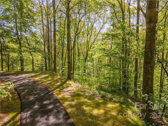 Listing photo 3 for LOT1 Nottingham Rd Unit 1, Maggie Valley NC 28751