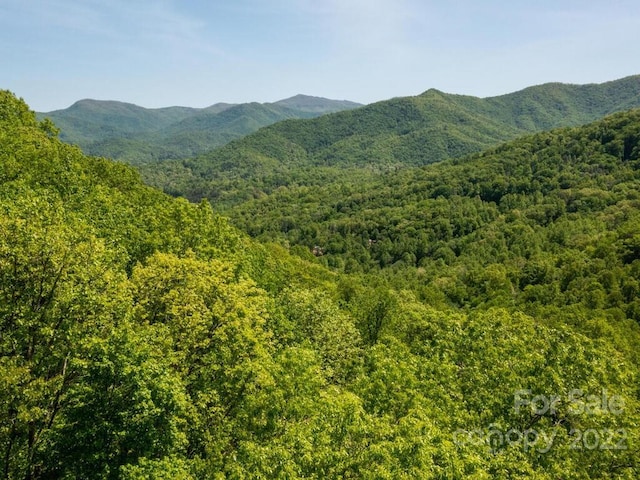 10 Turkey Trot Trl, Sylva NC, 28779 land for sale