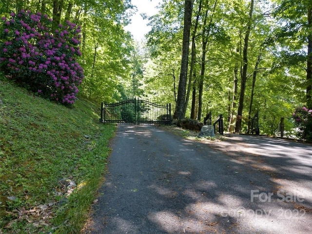 Listing photo 2 for 00 Hudson Valley Dr Unit 11, Waynesville NC 28786