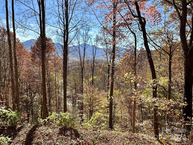 11 Trout Lily Ln Unit 11, Maggie Valley NC, 28751 land for sale