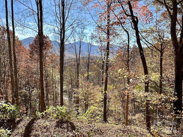 11 Trout Lily Ln Unit 11, Maggie Valley, NC 28751
