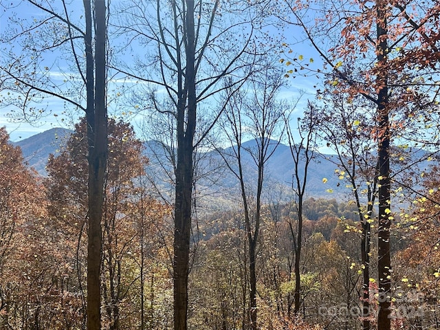 Listing photo 2 for 11 Trout Lily Ln Unit 11, Maggie Valley NC 28751