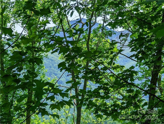 11 Trout Lily Ln Unit 11, Maggie Valley, NC 28751