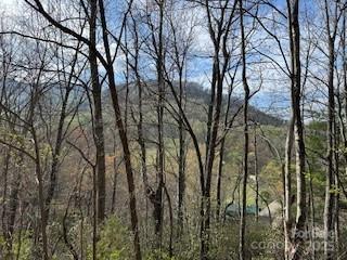 00 Buckeye Dr Unit 35, Waynesville, NC 28786 - photo 8