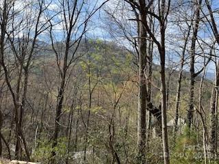 00 Buckeye Dr Unit 35, Waynesville, NC 28786 - photo 9