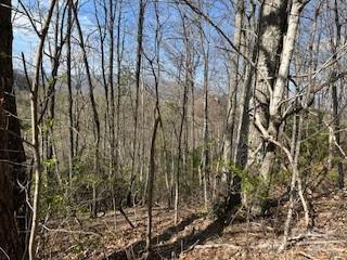 00 Buckeye Dr Unit 35, Waynesville, NC 28786 - photo 10