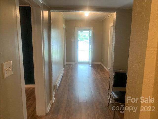 hallway featuring ornamental molding and dark wood-type flooring