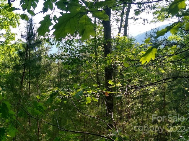 Listing photo 2 for LOT221 Davids Dr, Lake Lure NC 28746