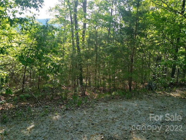 Listing photo 3 for LOT221 Davids Dr, Lake Lure NC 28746