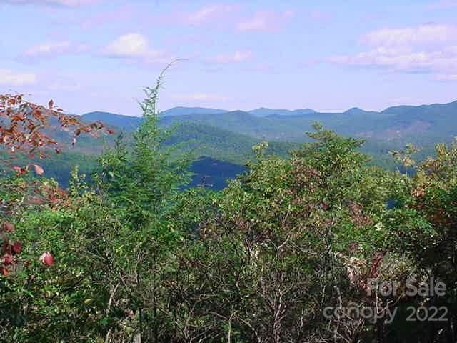 LOT361 Hickory Nut Ln, Lake Lure NC, 28746 land for sale