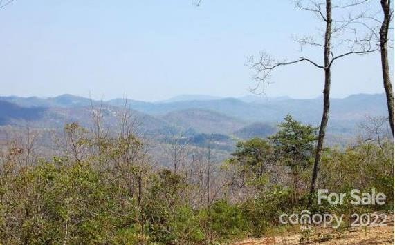 Listing photo 3 for LOT361 Hickory Nut Ln, Lake Lure NC 28746