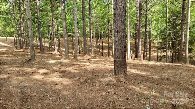 0 Hearthstone Dr Unit 2, Union Mills NC, 28167 land for sale