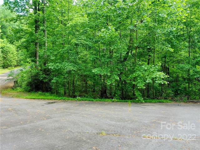 Listing photo 3 for LOT2072 Anthony Ct, Mill Spring NC 28756