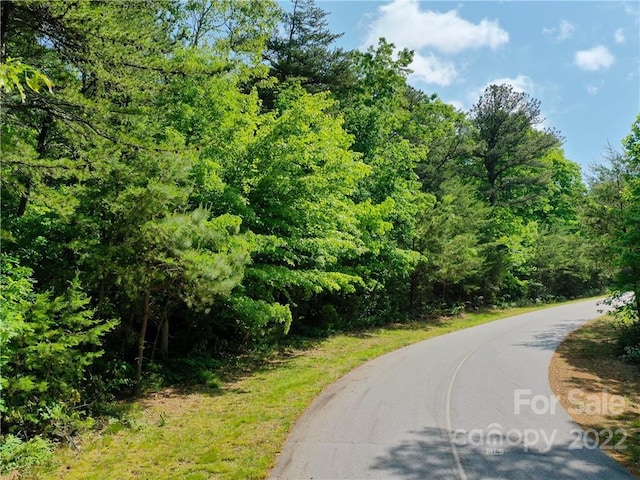 LOT295 Eastman Pl, Mill Spring NC, 28756 land for sale