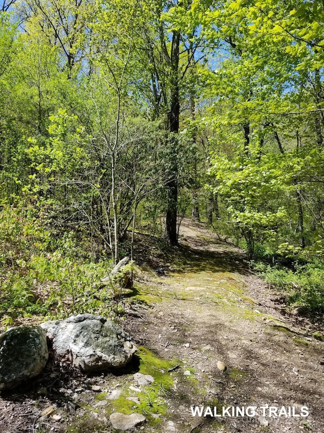 view of landscape