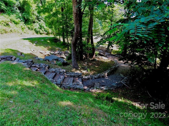 492 Freemont Dr Unit 77, Leicester, NC 28748 - photo 5