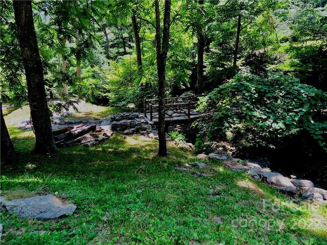 492 Freemont Dr Unit 77, Leicester, NC 28748 - photo 6