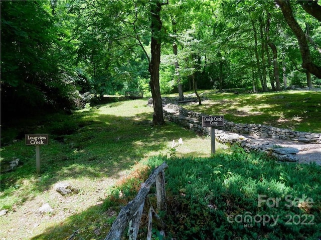 492 Freemont Dr Unit 77, Leicester, NC 28748 - photo 7