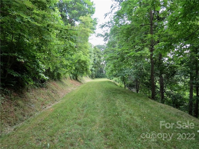 492 Freemont Dr Unit 77, Leicester, NC 28748 - photo 12