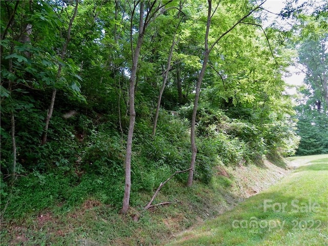 492 Freemont Dr Unit 77, Leicester, NC 28748 - photo 13