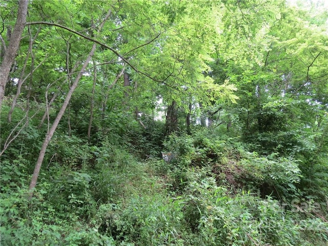 492 Freemont Dr Unit 77, Leicester, NC 28748 - photo 14