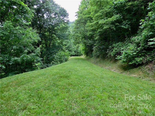 492 Freemont Dr Unit 77, Leicester, NC 28748 - photo 17