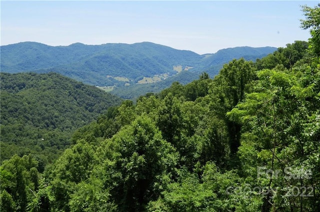 492 Freemont Dr Unit 77, Leicester, NC 28748 - photo 18