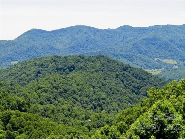492 Freemont Dr Unit 77, Leicester, NC 28748 - photo 19