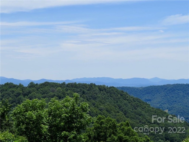 492 Freemont Dr Unit 77, Leicester, NC 28748 - photo 20