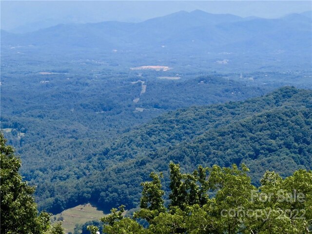 492 Freemont Dr Unit 77, Leicester, NC 28748 - photo 21
