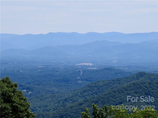 492 Freemont Dr Unit 77, Leicester, NC 28748 - photo 22