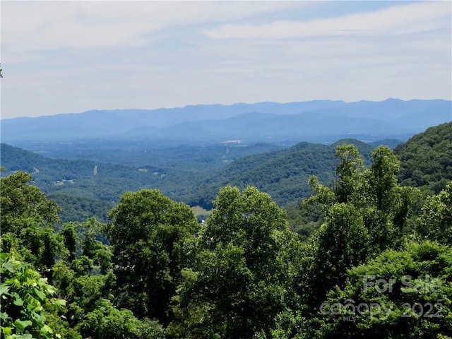 492 Freemont Dr Unit 77, Leicester, NC 28748 - photo 23