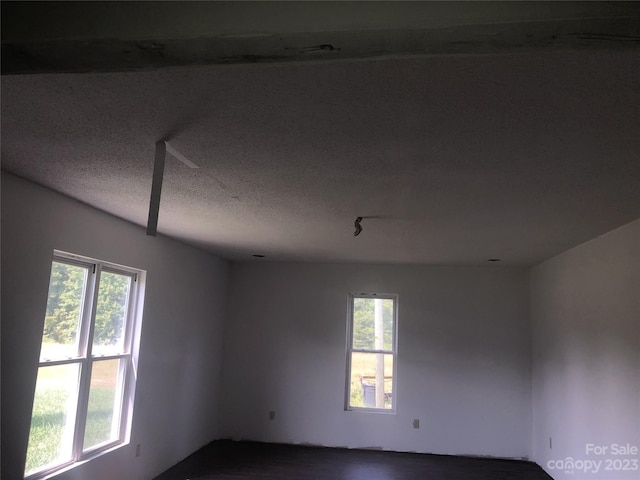 unfurnished room with a textured ceiling and a healthy amount of sunlight