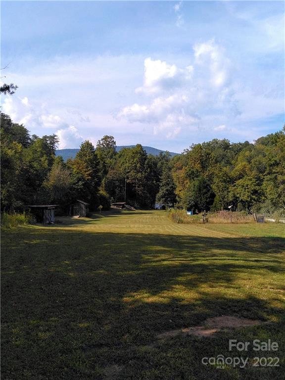 3600 Lake Adger Rd, Mill Spring, NC 28756 - photo 6