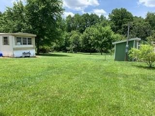 view of yard with a storage unit