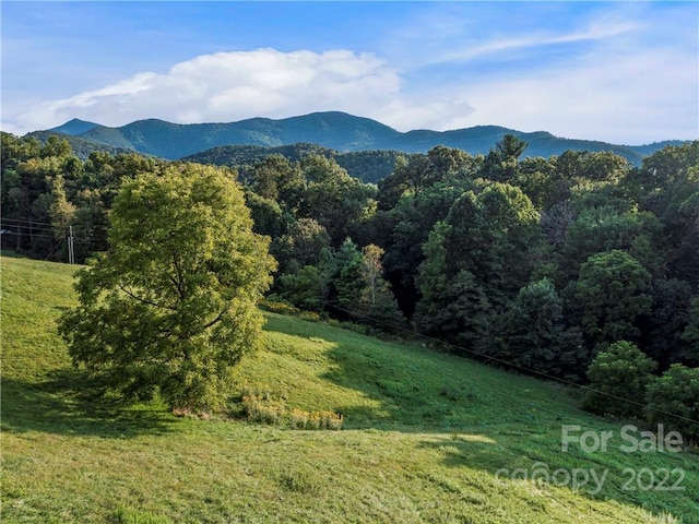 view of property view of mountains