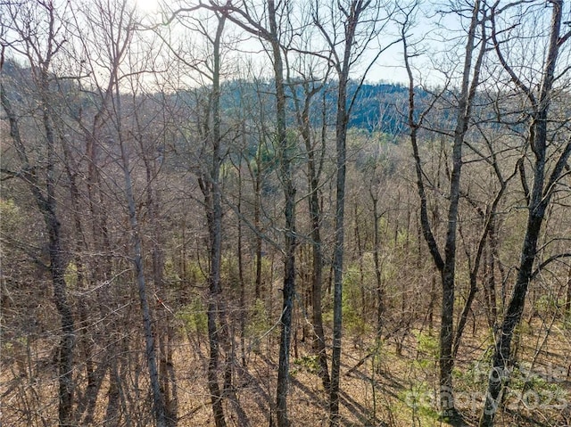 LOT395 Roaring Fork Ln, Hendersonville NC, 28739 land for sale