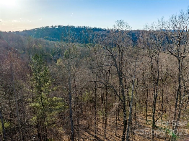 Listing photo 2 for LOT395 Roaring Fork Ln, Hendersonville NC 28739