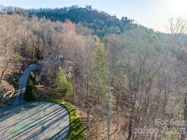 Listing photo 3 for LOT395 Roaring Fork Ln, Hendersonville NC 28739