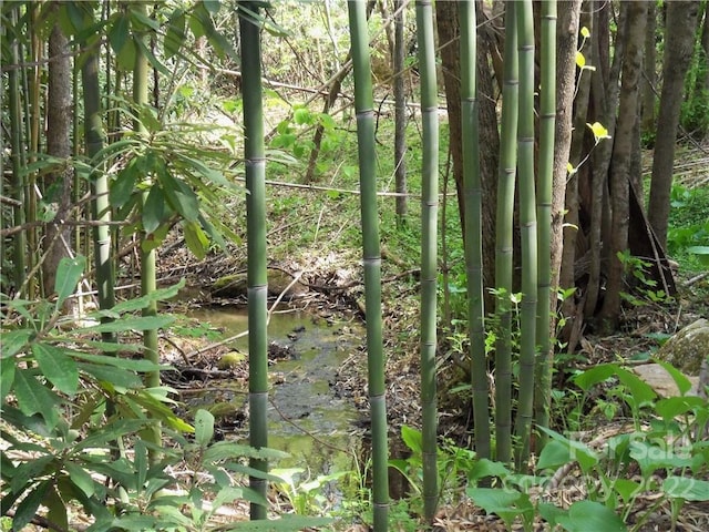 view of nature with a water view