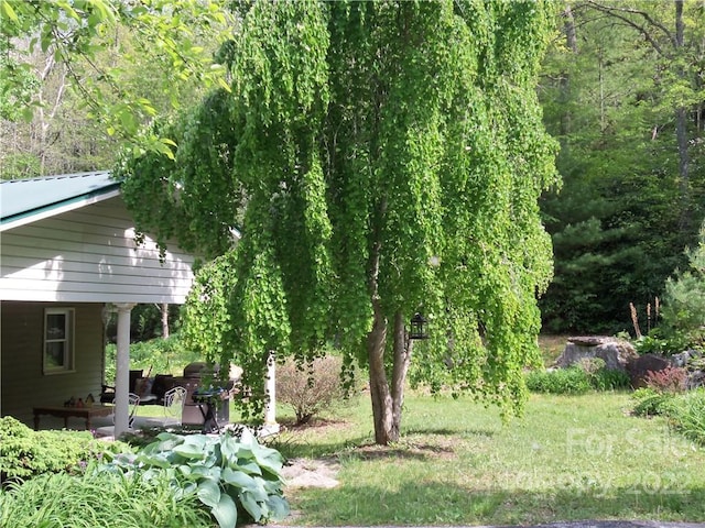 view of yard