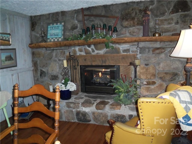 living room featuring a stone fireplace and wood-type flooring