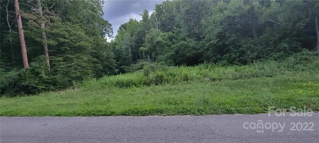 0000 Beauty St, Statesville NC, 28625 land for sale