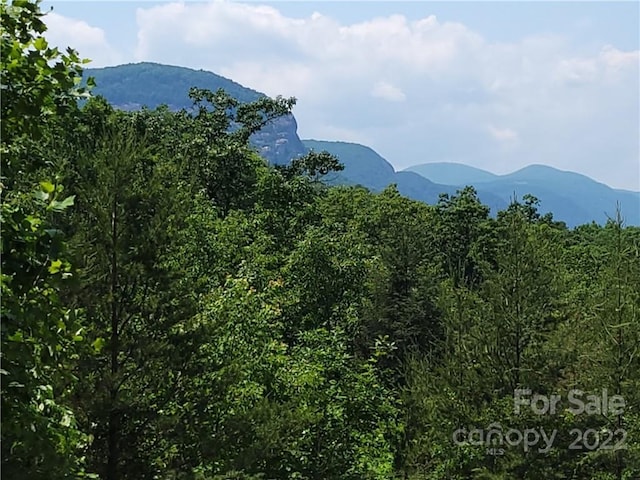 0 Highland Dr Unit 6, Lake Lure NC, 28746 land for sale