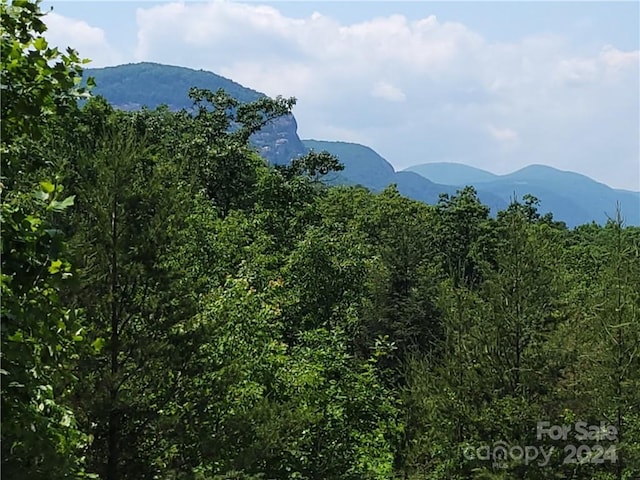 Listing photo 3 for LOT5 Highland Dr, Lake Lure NC 28746