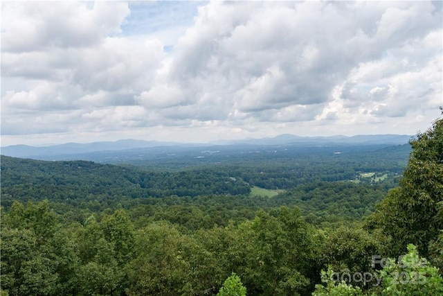 103 Berry Creek Dr Unit 22, Flat Rock NC, 28731 land for sale