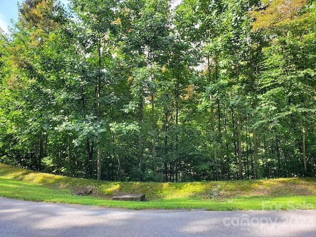 LOT37 Mountain Morning Ln, Hendersonville NC, 28739 land for sale