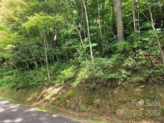 Listing photo 2 for 00 Heavenview Pt Unit 120, Maggie Valley NC 28751